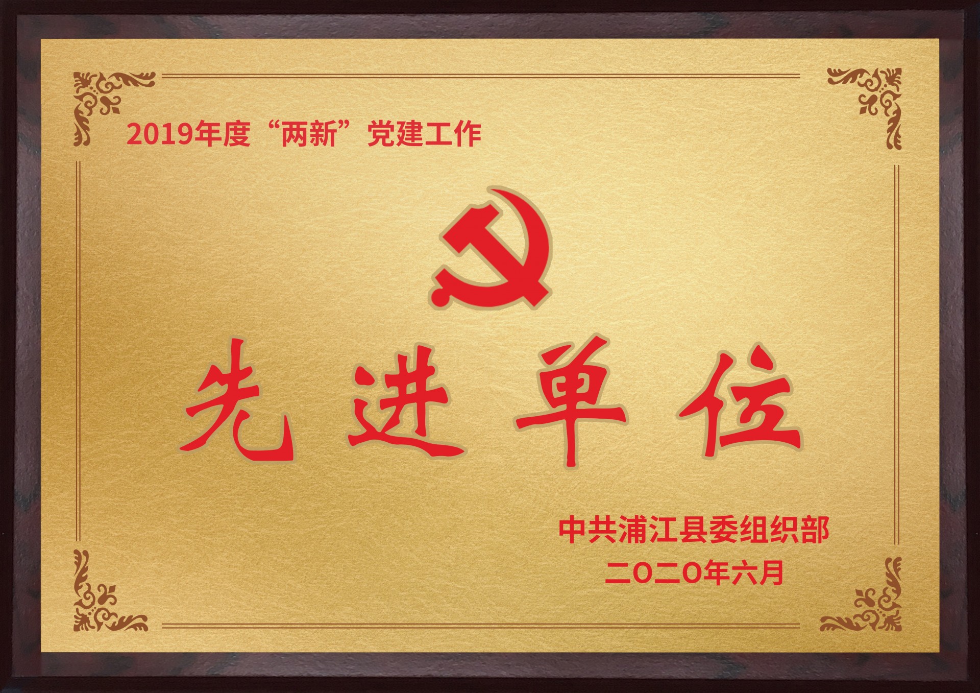 2019年党建工作先进单位
