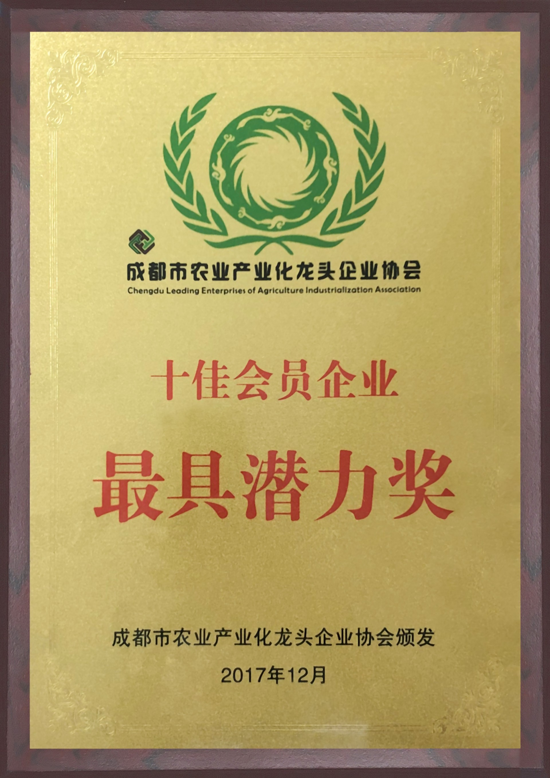 最具潜力奖
