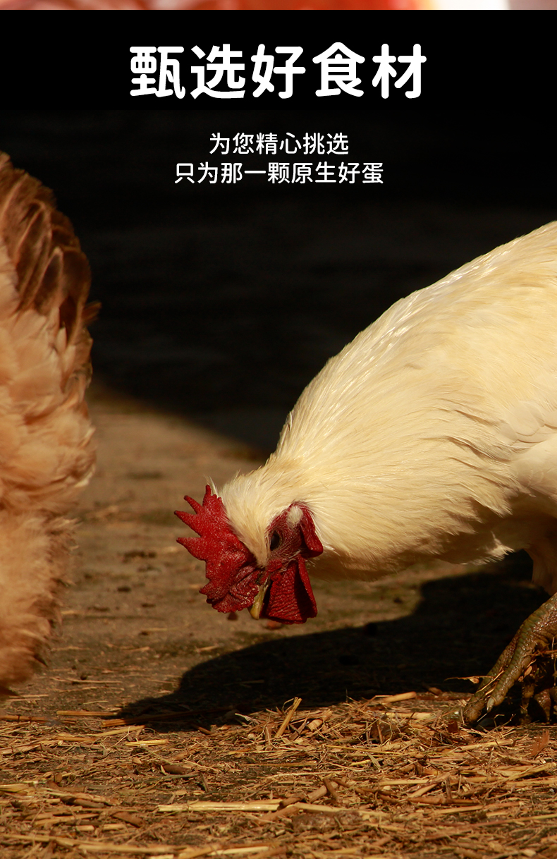 爆酱炸弹_06.jpg